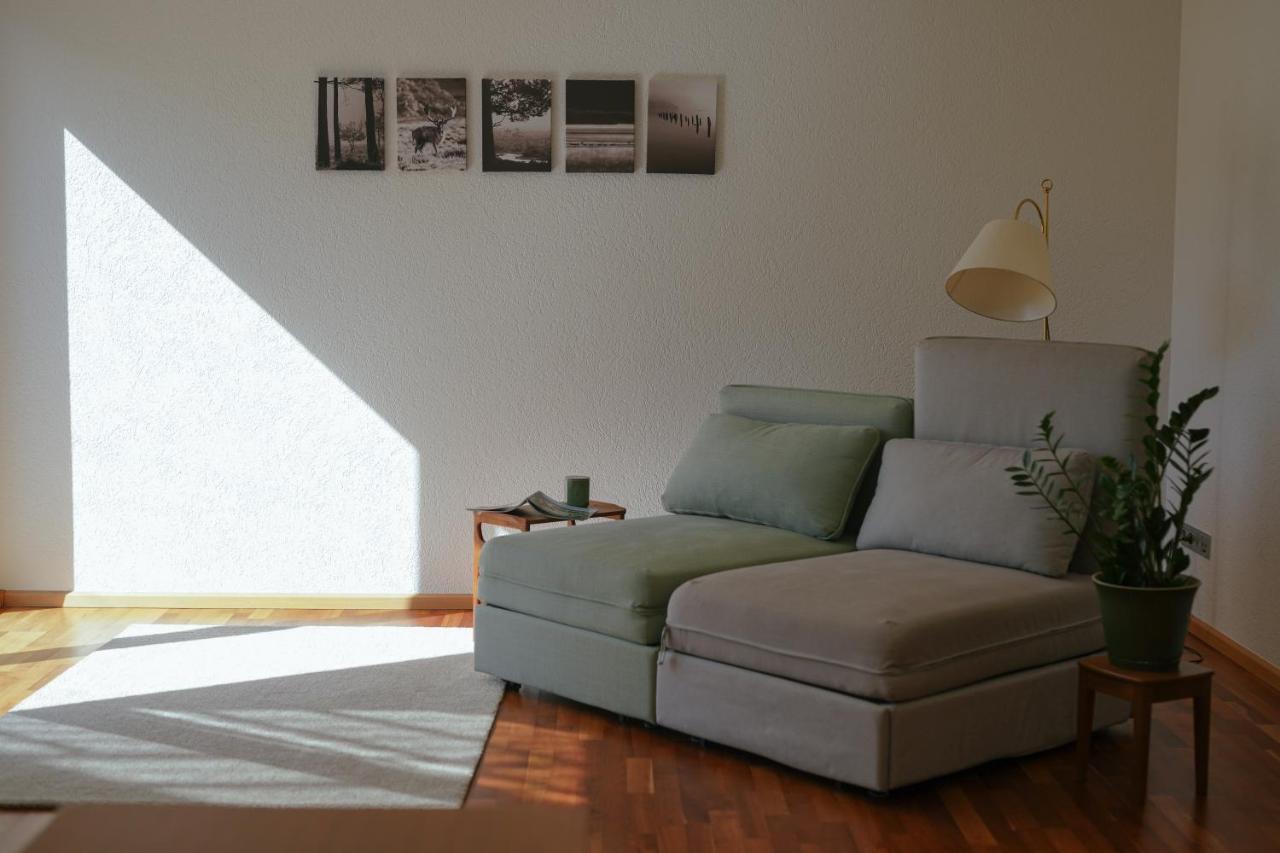 No 19 In The Black Forest Appartement St. Blasien