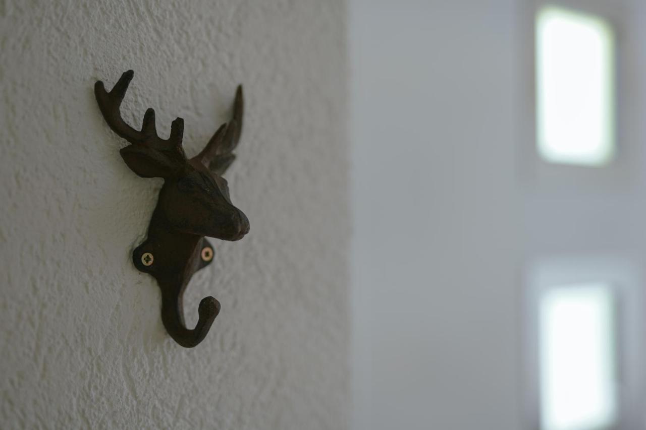 No 19 In The Black Forest Appartement