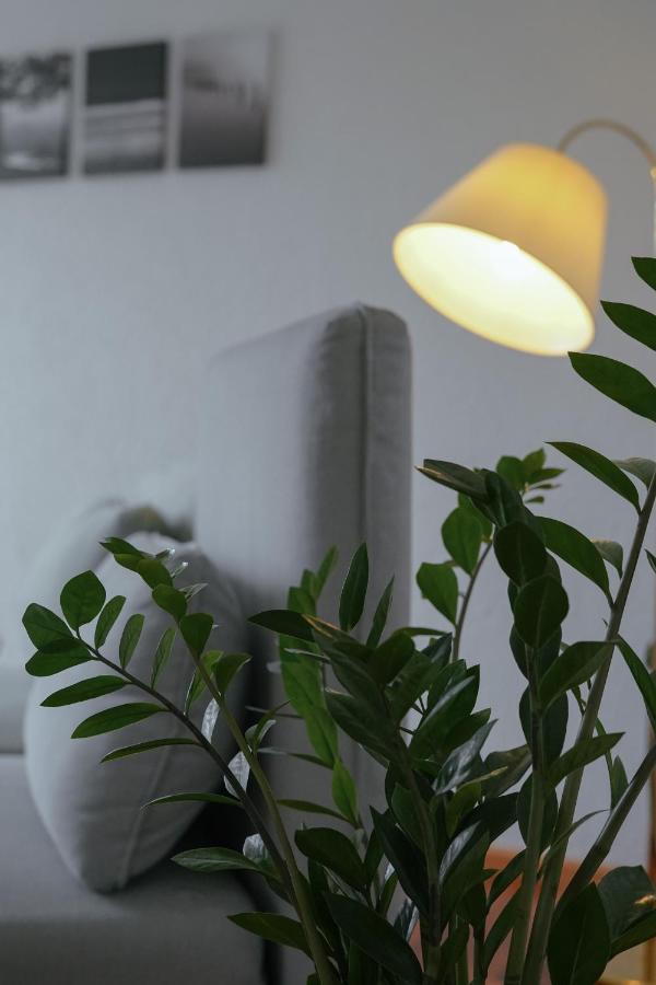 No 19 In The Black Forest Appartement