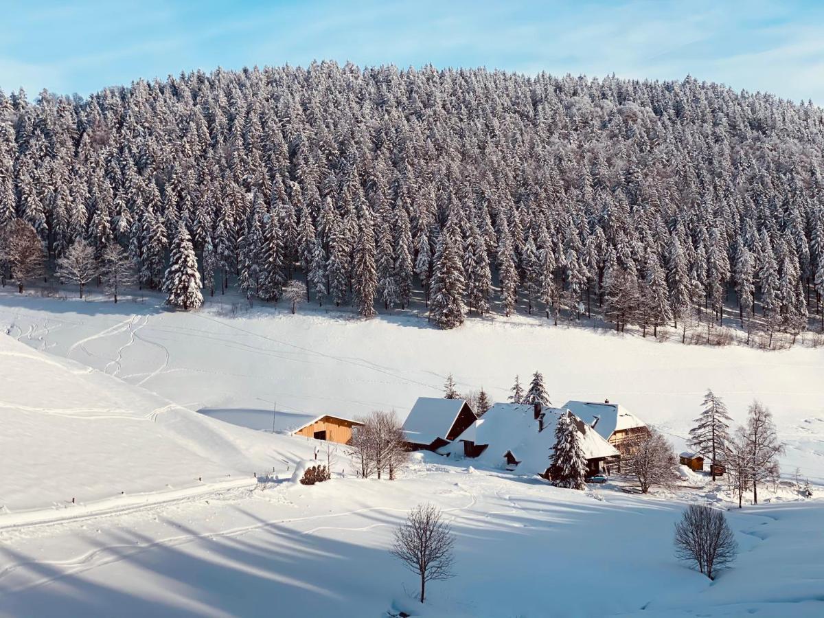 No 19 In The Black Forest Appartement St. Blasien